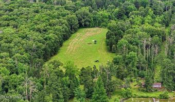 Vine Drive, Brandon, MS 39047