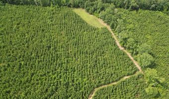 590 County Road 204, Ariton, AL 36311