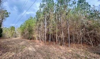 SE Lee Drive, Bogue Chitto, MS 39629