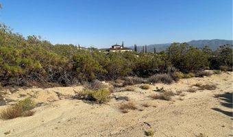 61700 Indian Paint Brush Rd, Anza, CA 92539