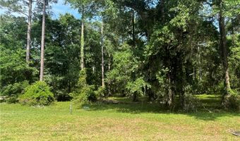 Lot 419 COOPER'S Point, Townsend, GA 31331