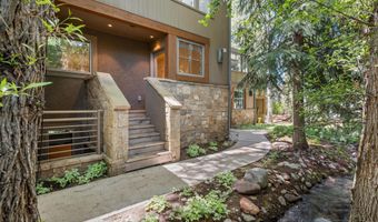 100 N Eighth St 3, Aspen, CO 81611