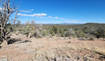 Scorpion lot 50, Ash Fork, AZ 86320