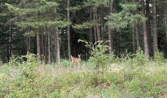 Tbd Harlow Ridge Rd - Cloverland Estates 26, Asotin, WA 99402