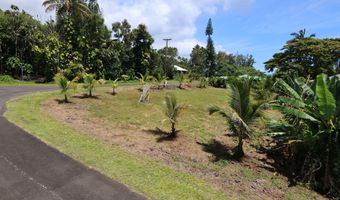 NENE ST, Hilo, HI 96720