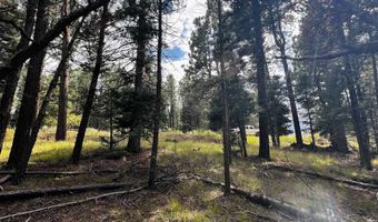 72 Back Basin, Angel Fire, NM 87710