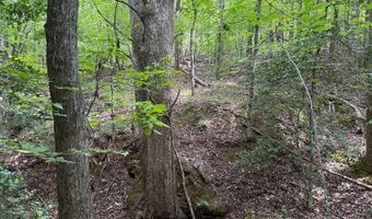 643 Radar Rd, Ararat, NC 27007