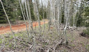 646 W Ski View Dr, Brian Head, UT 84719