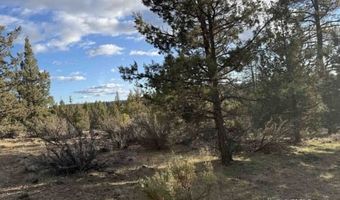 Canvasback, Bonanza, OR 97623