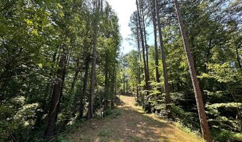 George Green Rd, Tallapoosa, GA 30176