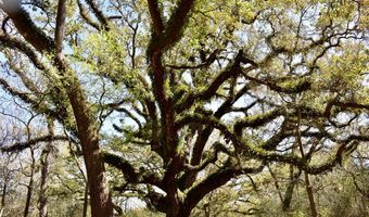 FM 521 TX, Angleton, TX 77515