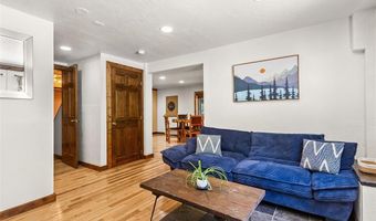 16 Bemrose Trl, Blue River, CO 80424