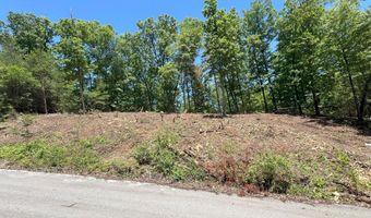 Lot 45 Bayside Boulevard, Bean Station, TN 37708