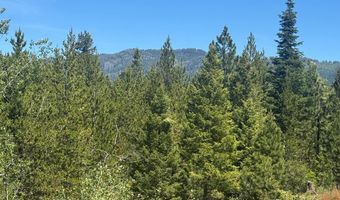 Saddle Rock Drive lot 19, Cascade, ID 83611