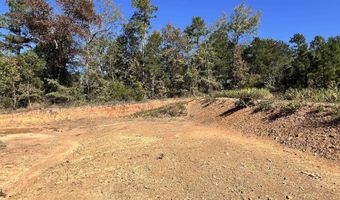 1011 Granny Hollar Rd, Atkins, AR 72823