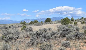 Matisse Road, Carson, NM 87517