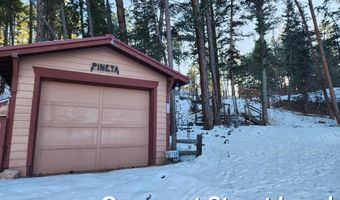 8708 Pine Dr, Beulah, CO 81023