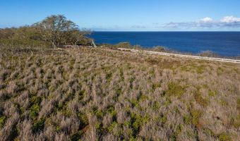 56-2891 HALEAKALA VIEW Pl, Hawi, HI 96719