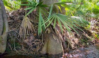 2120 15th Way, Bell, FL 32619