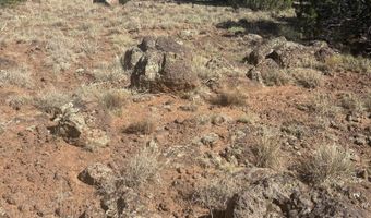 29 B County Road N 8339, Concho, AZ 85924