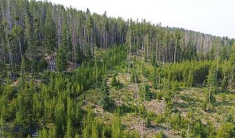 NHN Old Georgetown Road, Anaconda, MT 59711