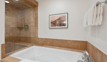 415 E Dean St Unit 38 Week 33, Aspen, CO 81611