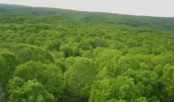 Tbd Brookstone Rd, Bastian, VA 24314