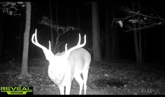 Gun Baoyu Road, Belzoni, MS 39038