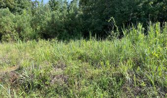 1258 Otis Paine Rd, Bethel Springs, TN 38315