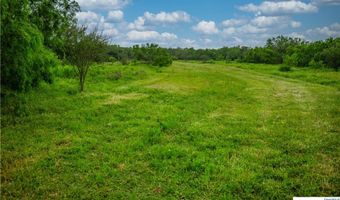 La Vernia Road, Adkins, TX 78101