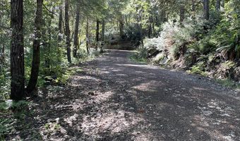 Agness-Illahe Rd, Agness, OR 97406
