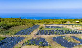89-830 POHULAI Rd, Captain Cook, HI 96704