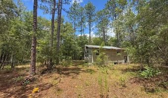 6339 NW 17th Ct, Bell, FL 32619