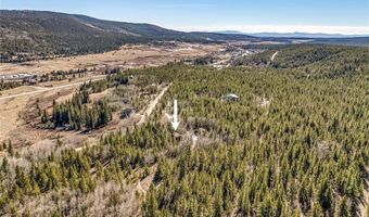 495 EDGEWOOD Rd, Alma, CO 80420