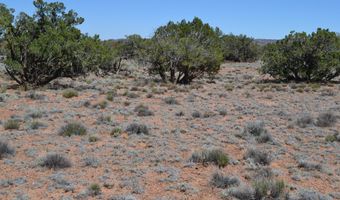 N8604, Concho, AZ 85924
