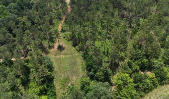 154 County Road 38 Acres, Banks, AL 36005