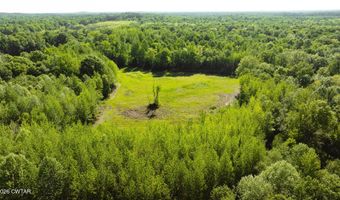 Beech Bluff Road, Beech Bluff, TN 38313