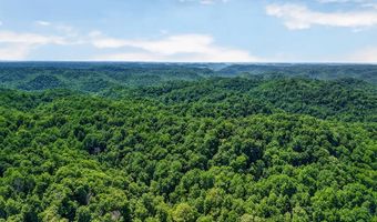 2926 Bryant Ridge Rd, Baxter, TN 38544