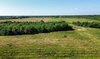 Pine Prairie Rd, Ashdown, AR 71822