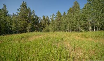 Potpourri Drive lot 11, Ashton, ID 83420