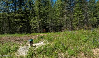 Kreiger Creek Rd, Careywood, ID 83809