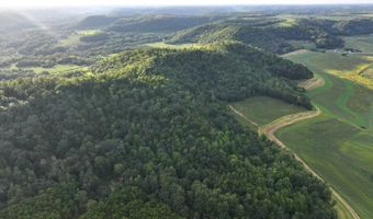 TBD Bear Pen Rd, Arkansaw, WI 54721