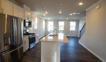 459 Carolina Springs Blvd, Apex, NC 27539