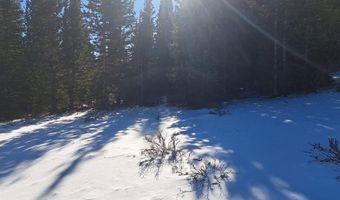 3553 RIVER Dr, Alma, CO 80420