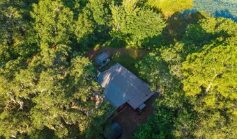 54544 BUCKHORN Rd, Astor, FL 32102