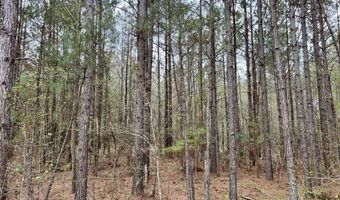 1 Bowman Branch Hwy, Bowman, SC 29018