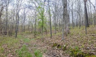 192 Mo 19, Alton, MO 65606