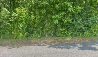 2049 Henry Scott Rd-LOT C 2.3 Acres, Ball Ground, GA 30107