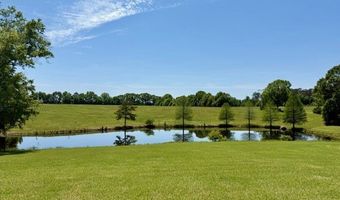 60327 Highway 445, Amite, LA 70422
