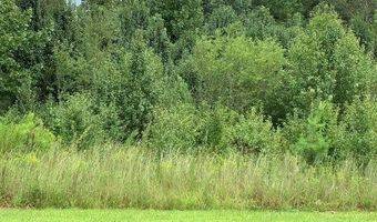 7322 Tribble Gap, Alto, GA 30510
